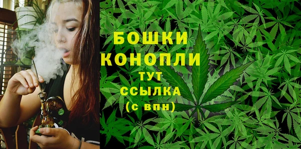 молекула духа Баксан