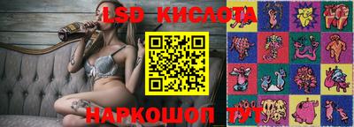 спайс Коммунар