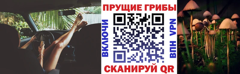 Псилоцибиновые грибы прущие грибы  Кувандык 