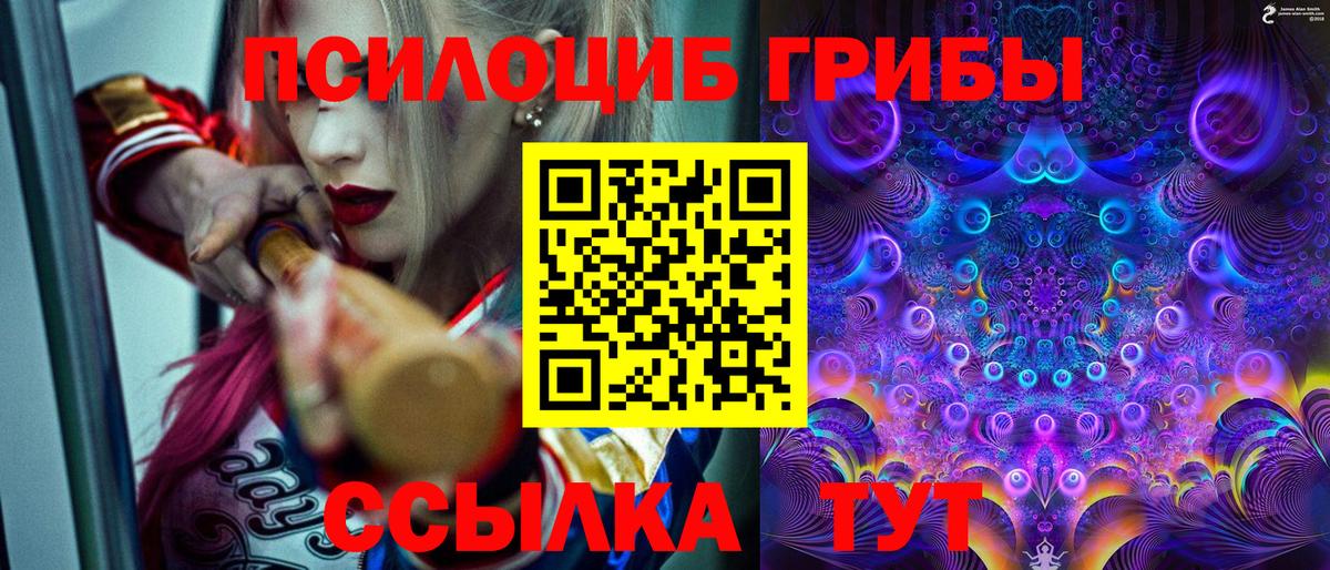 Кувандык  Псилоцибиновые грибы прущие грибы  Вход с VPN  Галлюциногенные грибы Magic Shrooms 