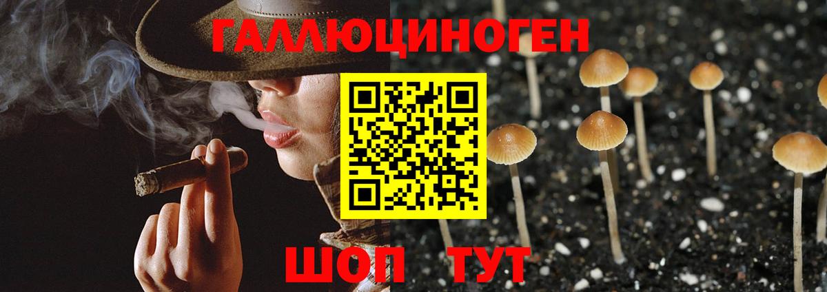 Псилоцибиновые грибы прущие грибы Кувандык